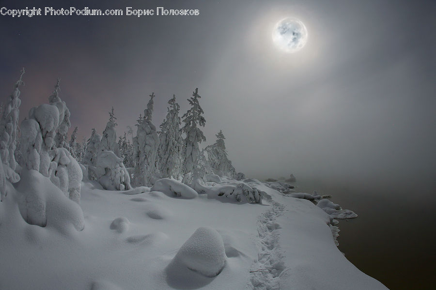 Ice, Outdoors, Snow, Art, Sculpture, Statue, Conifer