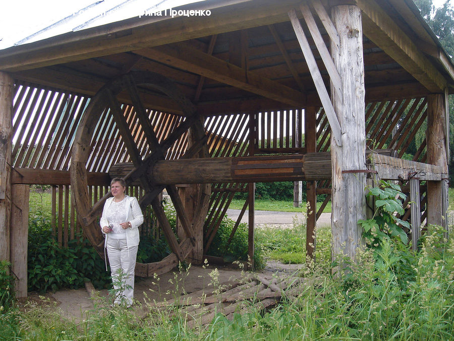 Gazebo, Patio, Pergola, Porch, Backyard, Yard, Ivy