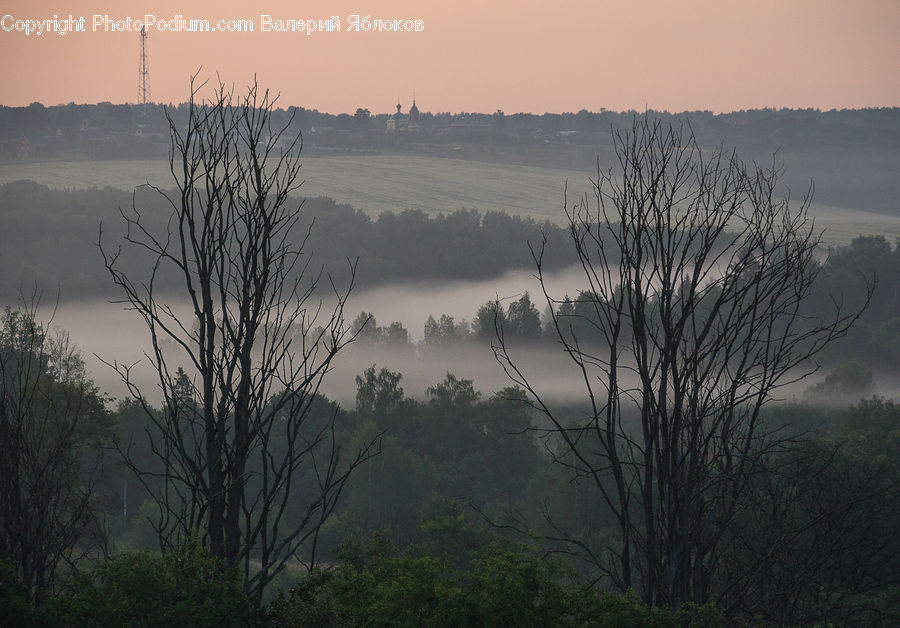 Fog, Dawn, Dusk, Sky, Sunrise, Sunset, Mist