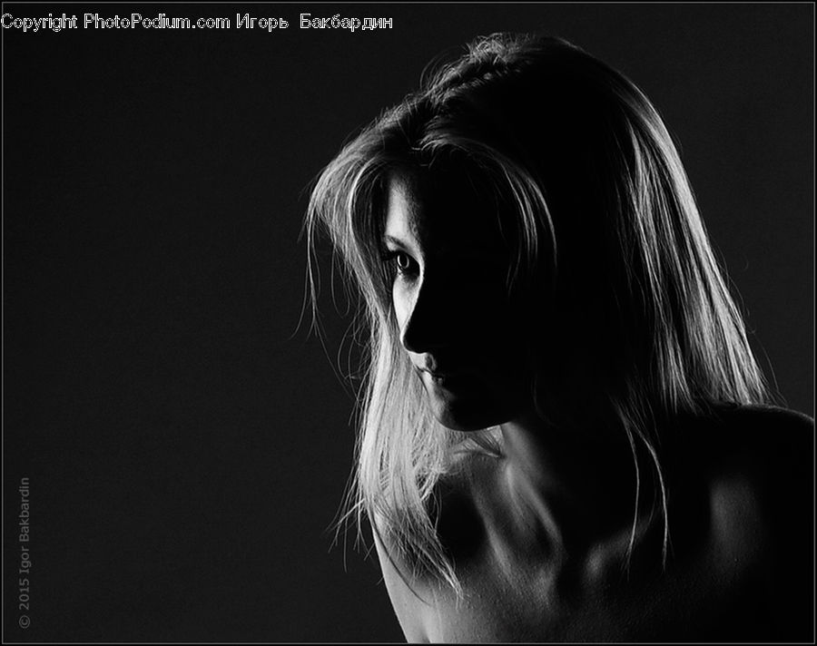 Blonde, Female, Person, Woman, Portrait, Girl