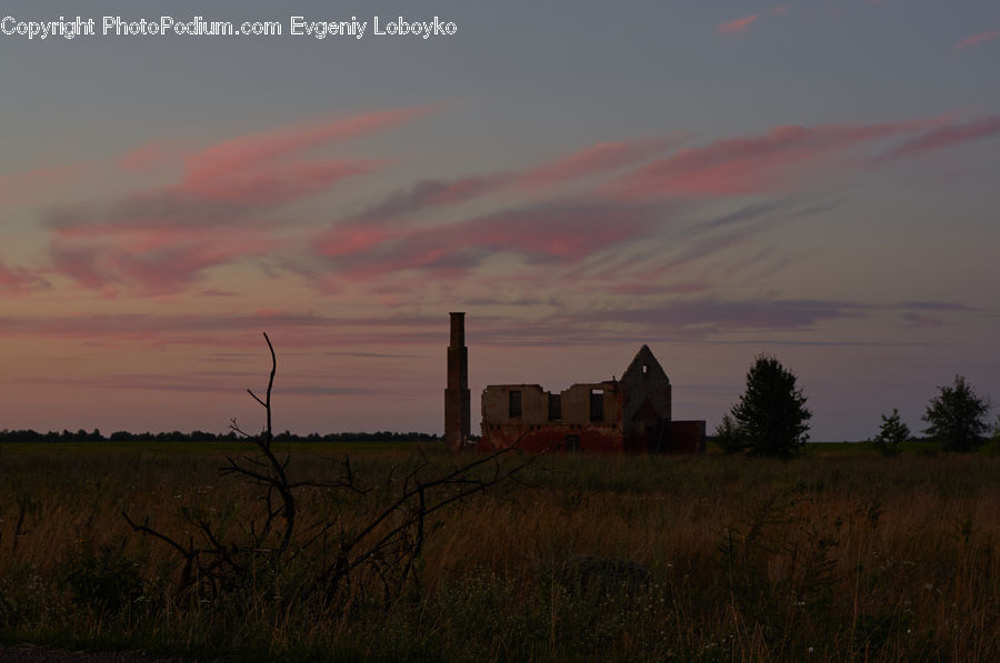 Field, Grass, Grassland, Land, Outdoors, Dawn, Dusk