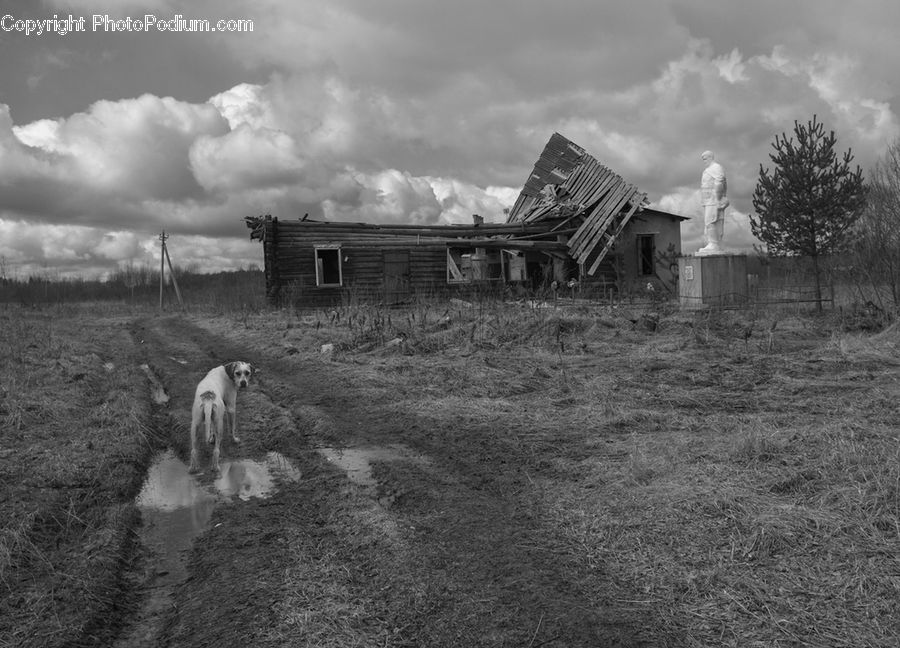 Cabin, Hut, Rural, Shack, Shelter, Countryside, Farm