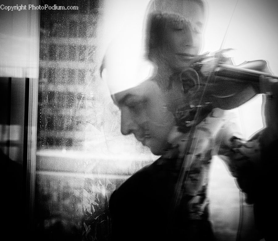People, Person, Human, Fiddle, Musical Instrument, Viola, Violin