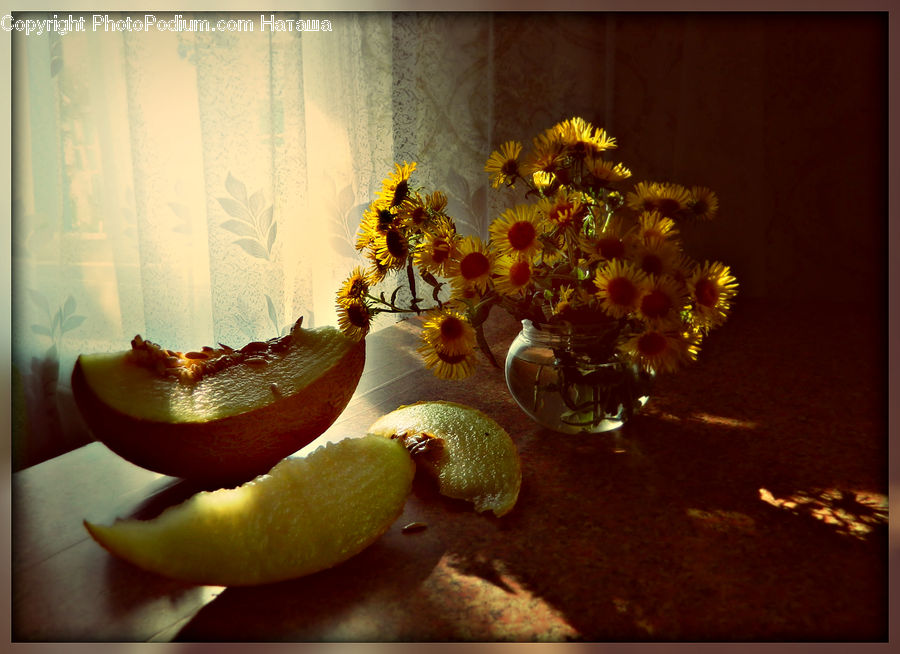 Jar, Porcelain, Vase, Plant, Potted Plant, Blossom, Flora