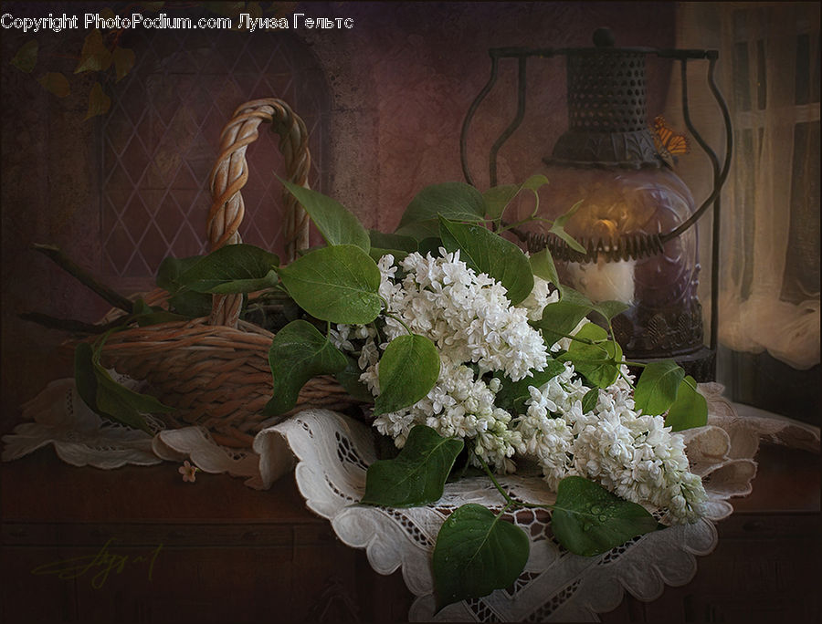 Floral Design, Flower, Flower Arrangement, Flower Bouquet, Ikebana, Plant, Potted Plant