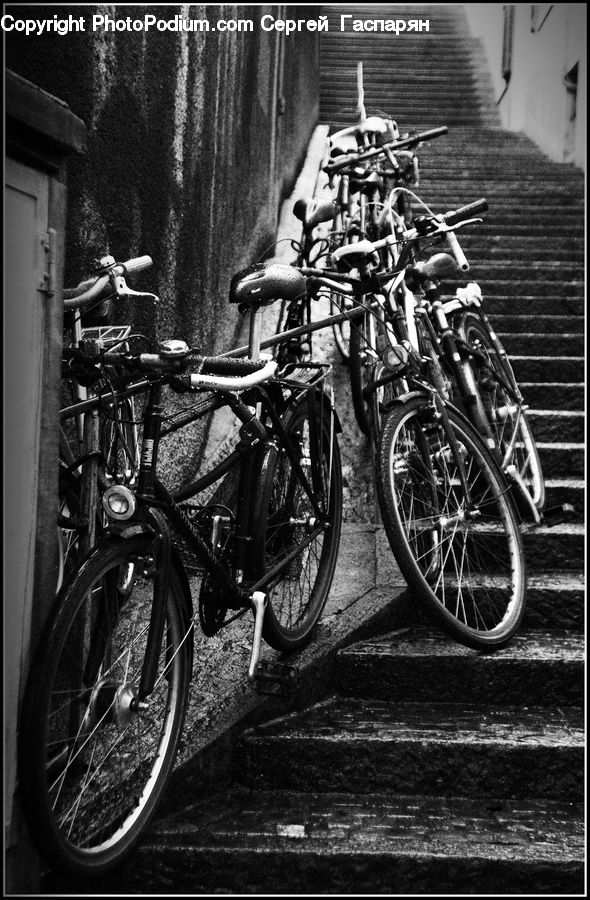 Bicycle, Bike, Vehicle, Cyclist