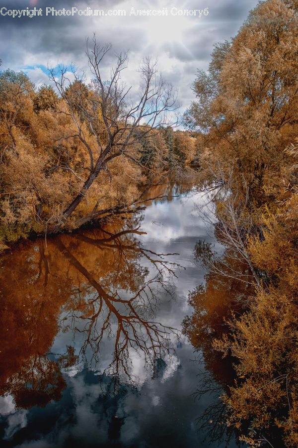 Outdoors, River, Water, Plant, Tree, Land, Marsh