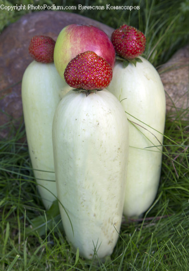 Produce, Radish, Vegetable, Fruit, Field, Grass, Grassland