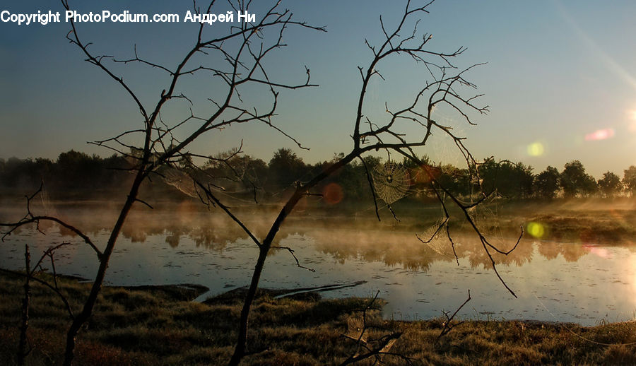 Land, Marsh, Pond, Swamp, Water, Landscape, Nature