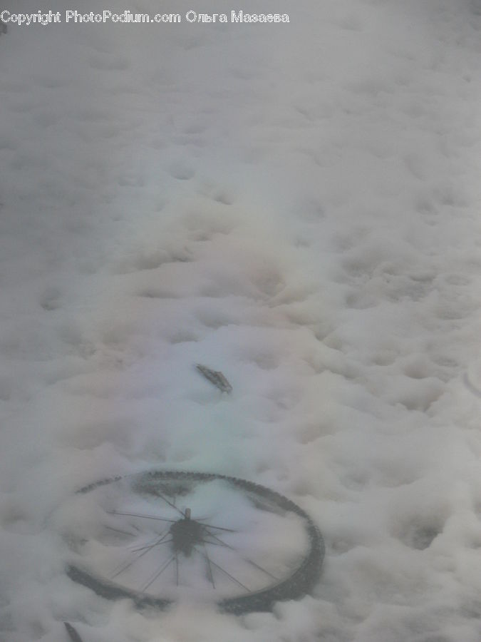 Snow, Snow Angel, Winter