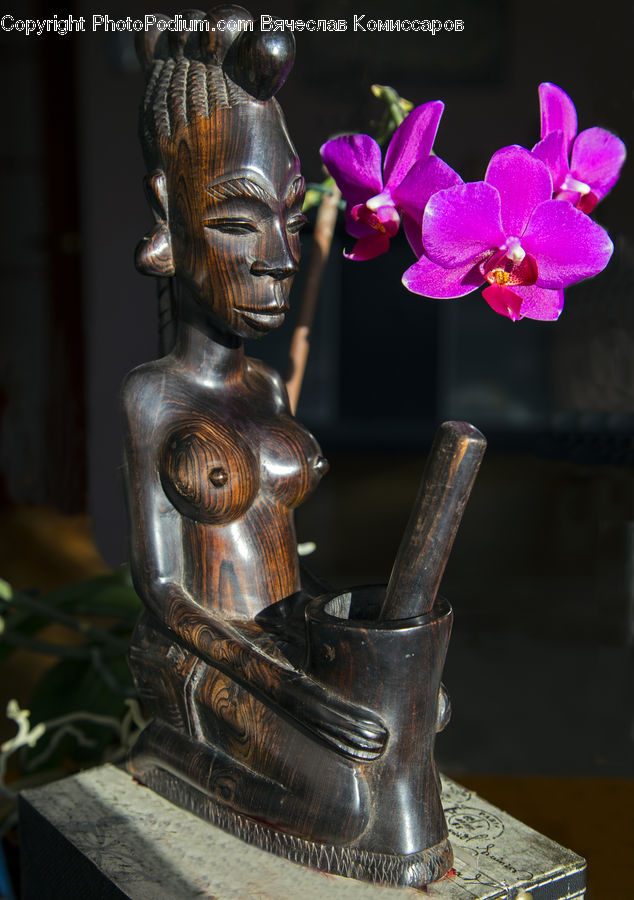 Armor, Blossom, Flora, Flower, Plant, Flower Arrangement, Ikebana
