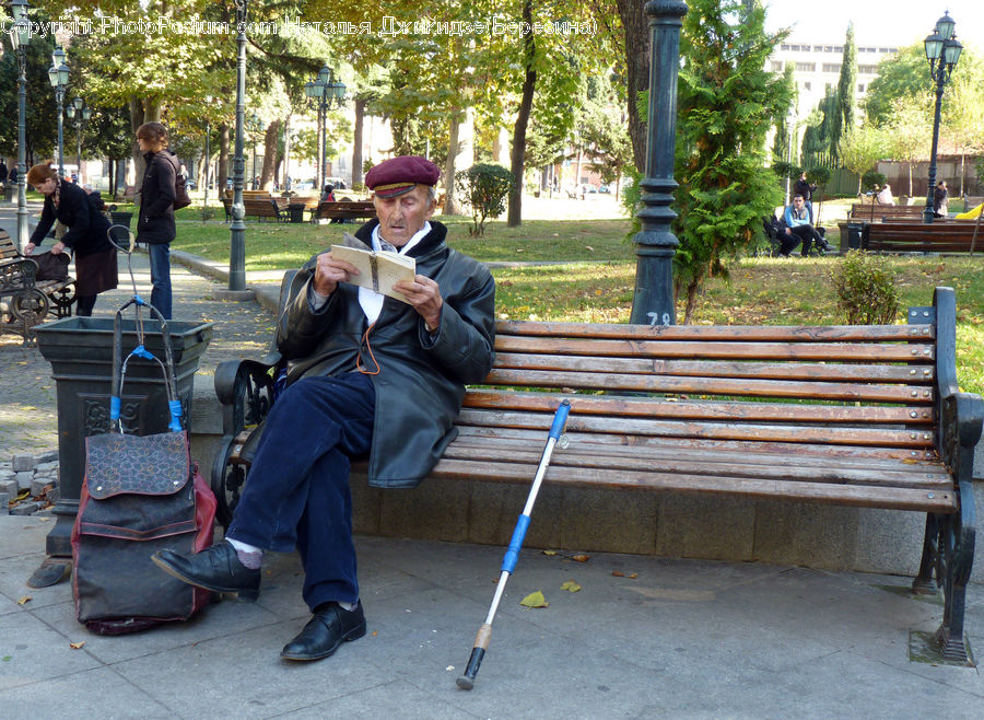 Human, People, Person, Park Bench, Plant, Tree, Clothing