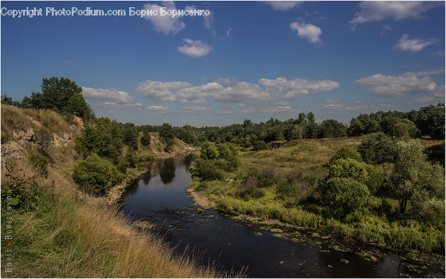 Outdoors, River, Water, Wilderness, Forest, Vegetation, Pond