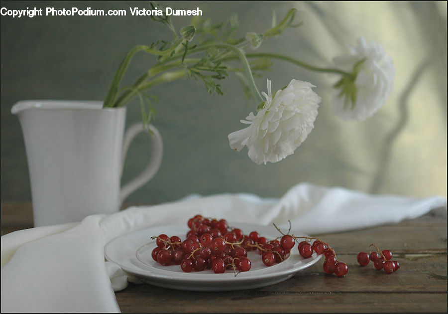 Blossom, Flower, Peony, Plant, Glass, Goblet, Cherry