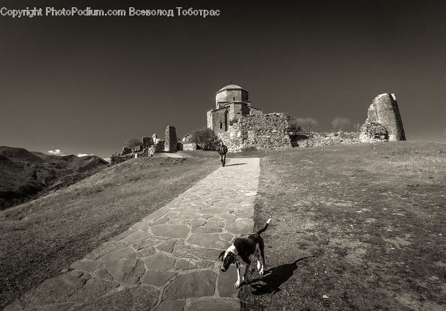 Ancient Egypt, Architecture, Pyramid, Triangle, Animal, Canine, Dog