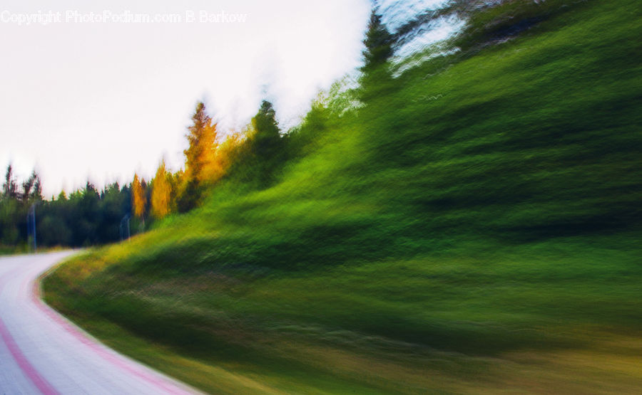 Dirt Road, Gravel, Road, Field, Grass, Grassland, Plant