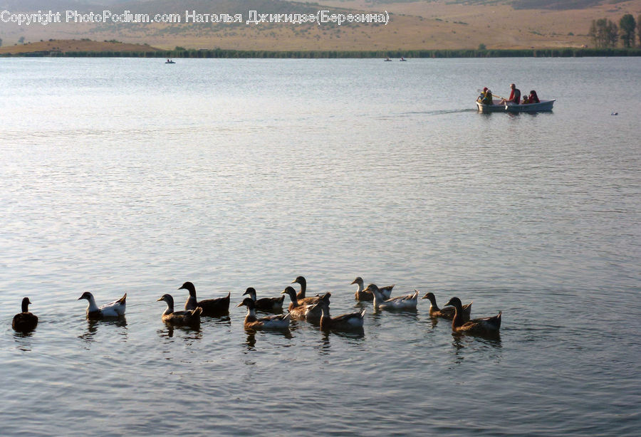 Leisure Activities