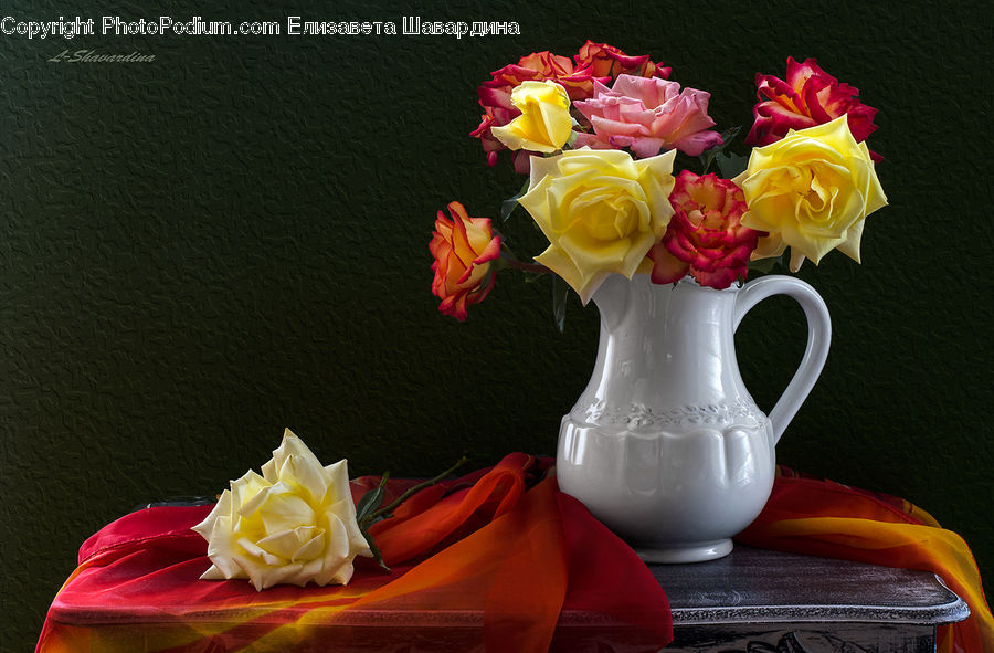 Blossom, Flower, Plant, Rose, Jug, Pitcher, Flower Arrangement