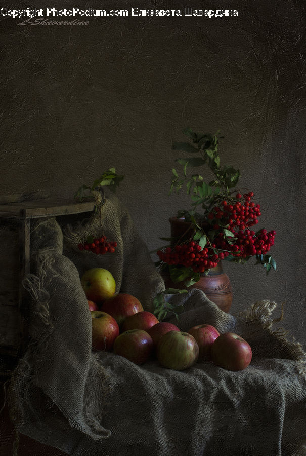 Plant, Potted Plant, Apple, Fruit, Ivy, Vine, Produce