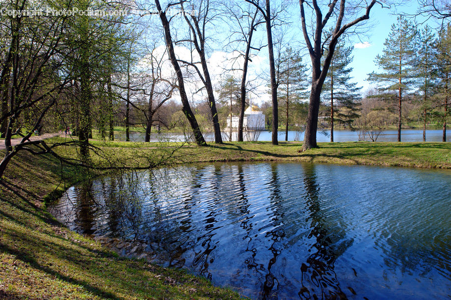 Outdoors, Pond, Water, Field, Grass, Grassland, Plant