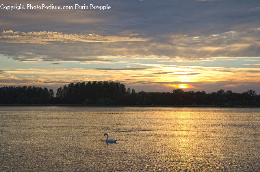 Horizon, Sky, Leisure Activities, Boat, Dinghy, Beach, Coast