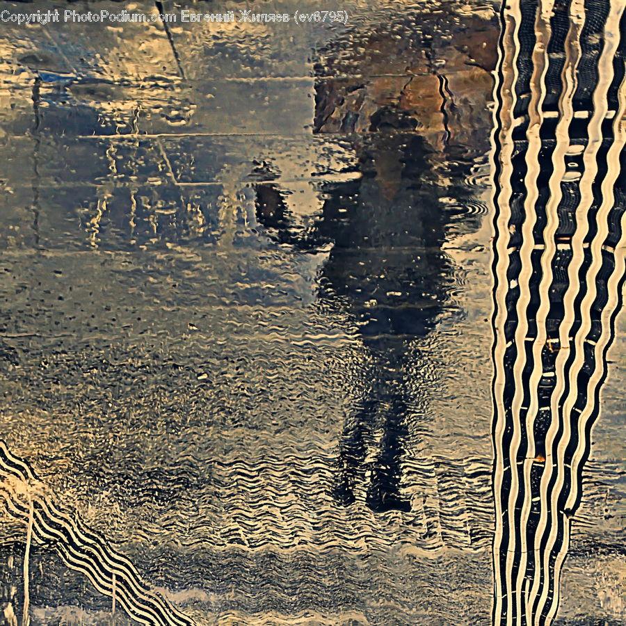 Outdoors, Ripple, Water, Land, Marsh, Pond, Swamp