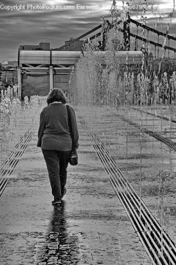 Human, People, Person, Back, Dock, Pier, Landing