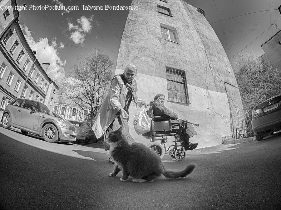 People, Person, Human, Motor, Motorcycle, Vehicle, Fisheye
