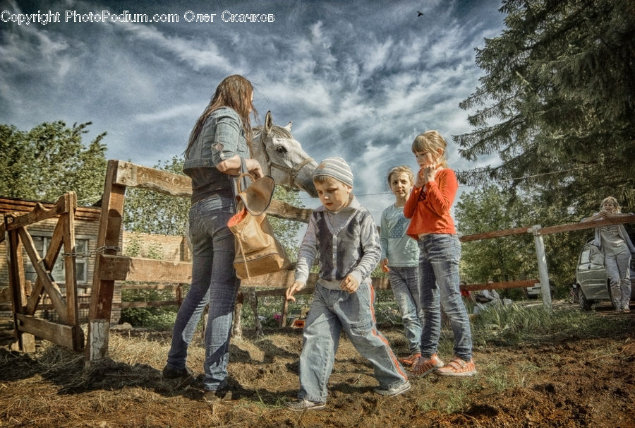 Human, People, Person, Blonde, Female, Woman, Outdoors