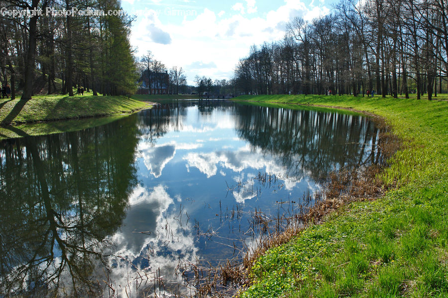 Outdoors, Pond, Water, Canal, River, Field, Grass