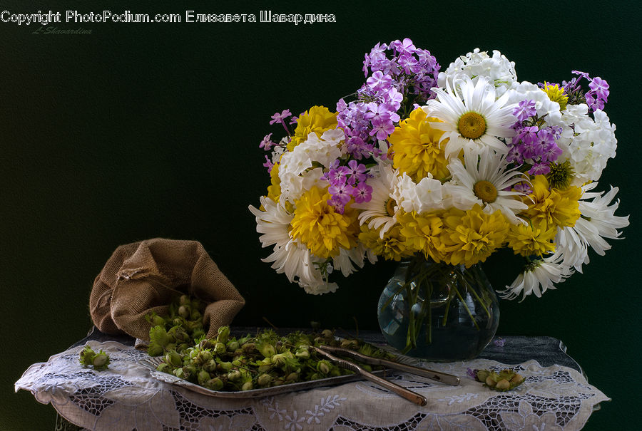 Plant, Potted Plant, Flower, Flower Arrangement, Flower Bouquet, Floral Design, Ikebana