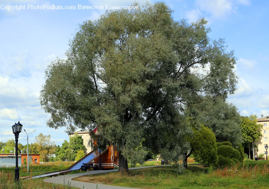 Building, Cottage, Housing, Grassland, Mound, Plant, Tree