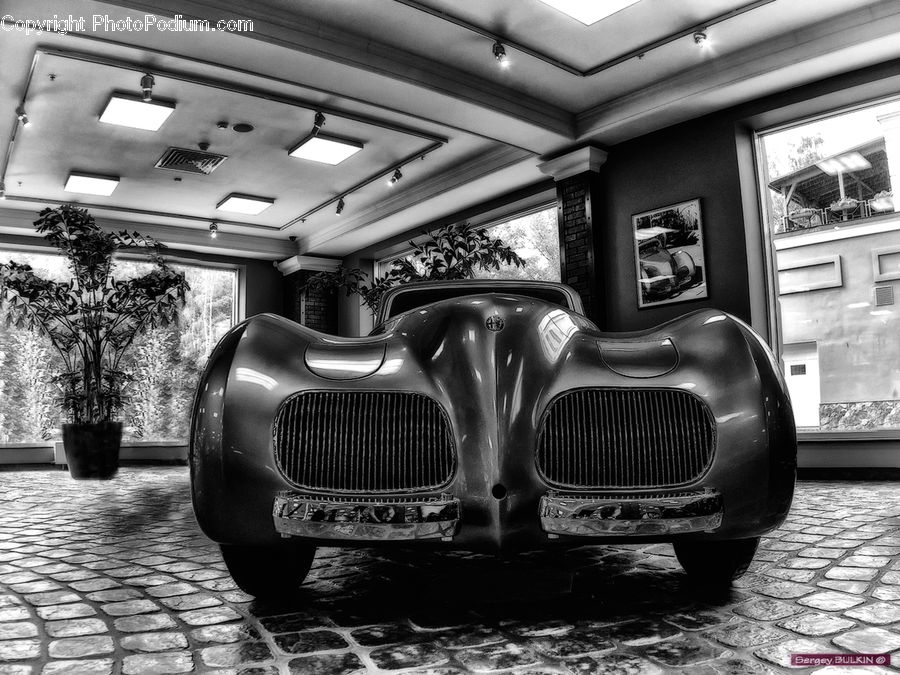Automobile, Car, Vehicle, Lighting, Scooter, Bumper, Pot