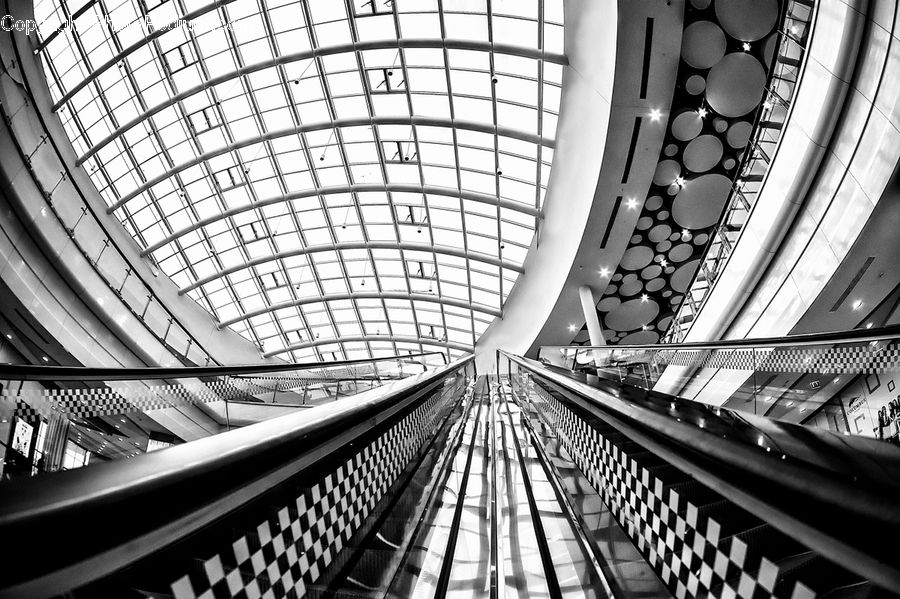 Subway, Train, Train Station, Vehicle, City, Downtown, Urban