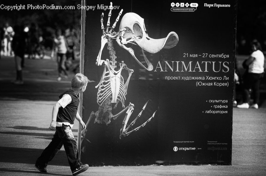 People, Person, Human, Performer, Brochure, Flyer, Poster