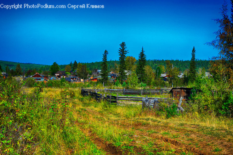 Field, Grass, Grassland, Land, Outdoors, Countryside, Bench