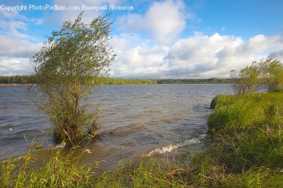 Field, Grass, Grassland, Plant, Lake, Outdoors, Water