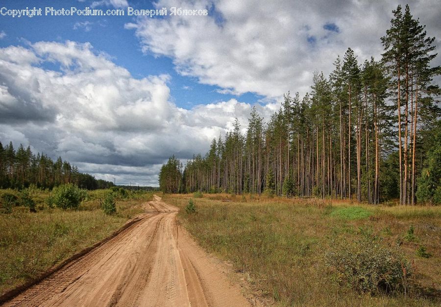 Dirt Road, Gravel, Road