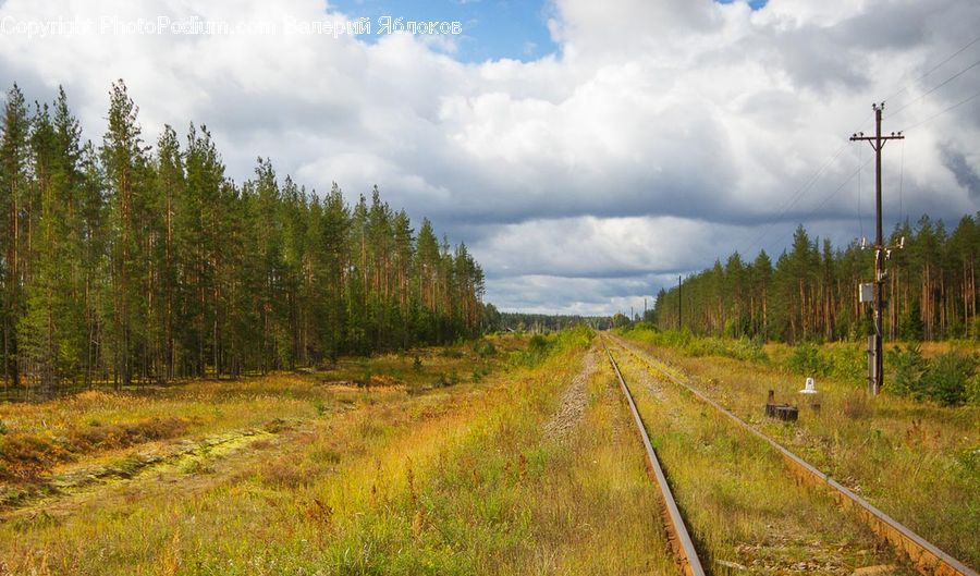 Dirt Road, Gravel, Road, Landscape, Nature, Scenery