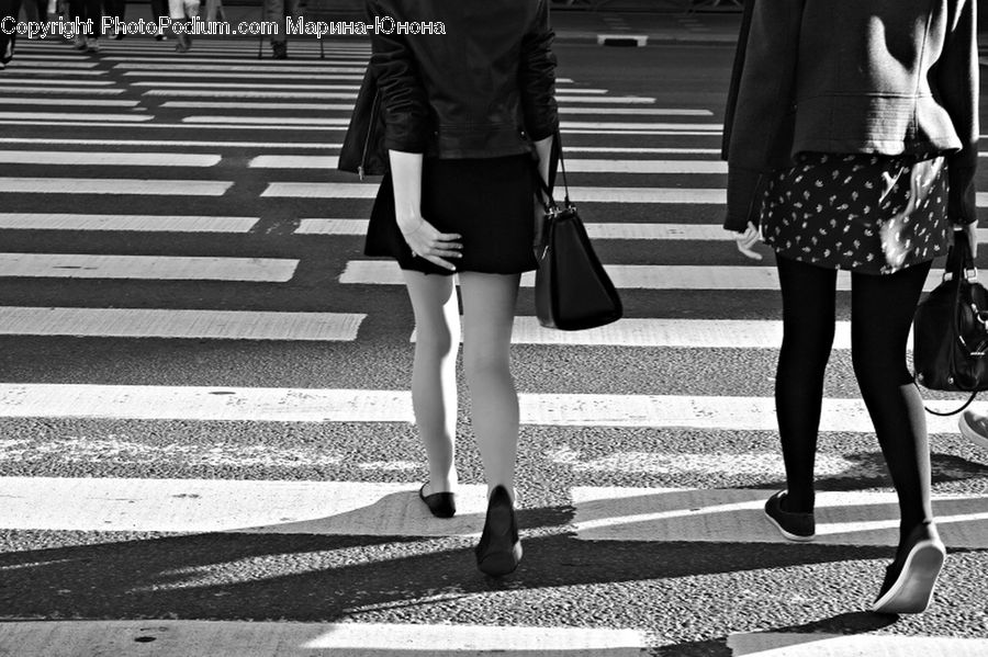 Human, People, Person, Asphalt, Road, Zebra Crossing, Shorts