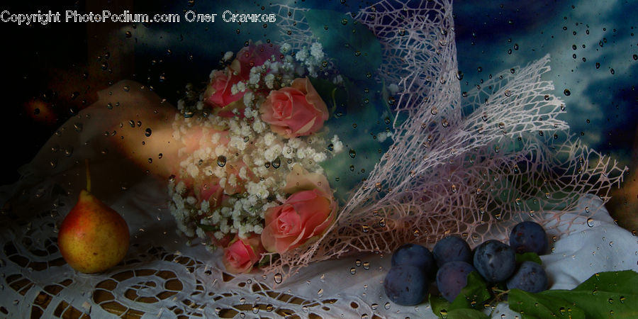 Blueberry, Fruit, Blossom, Flower, Plant, Rose, Plum