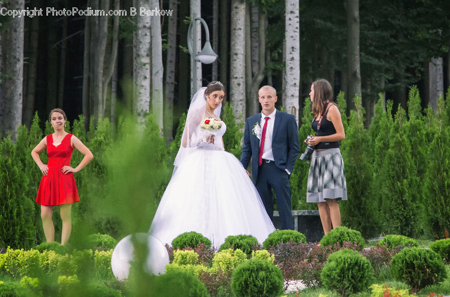 Human, People, Person, Clothing, Overcoat, Suit, Conifer