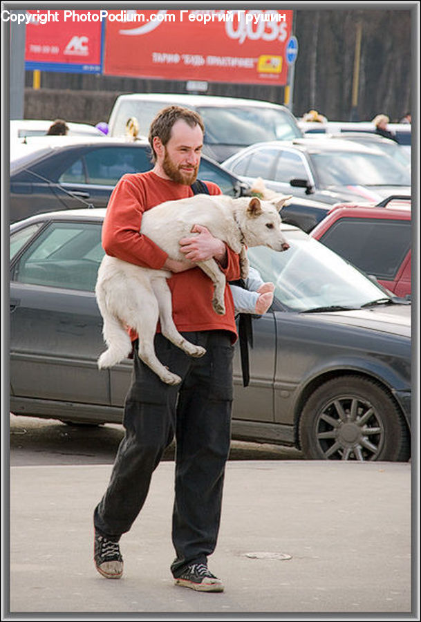 Human, People, Person, Automobile, Car, Vehicle, Boot