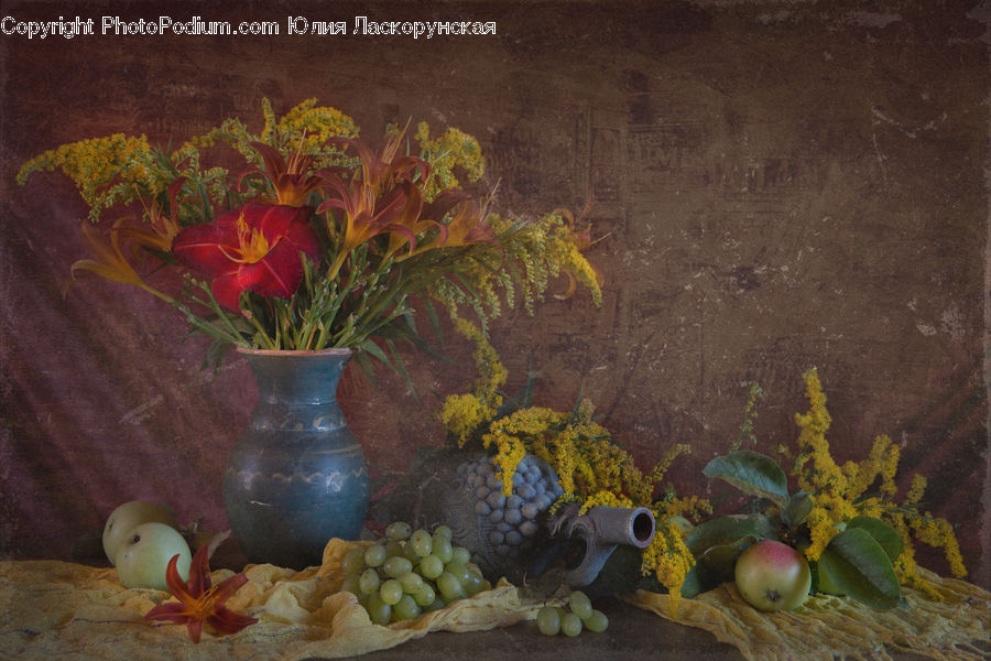 Plant, Potted Plant, Blossom, Flora, Flower, Poppy, Glass