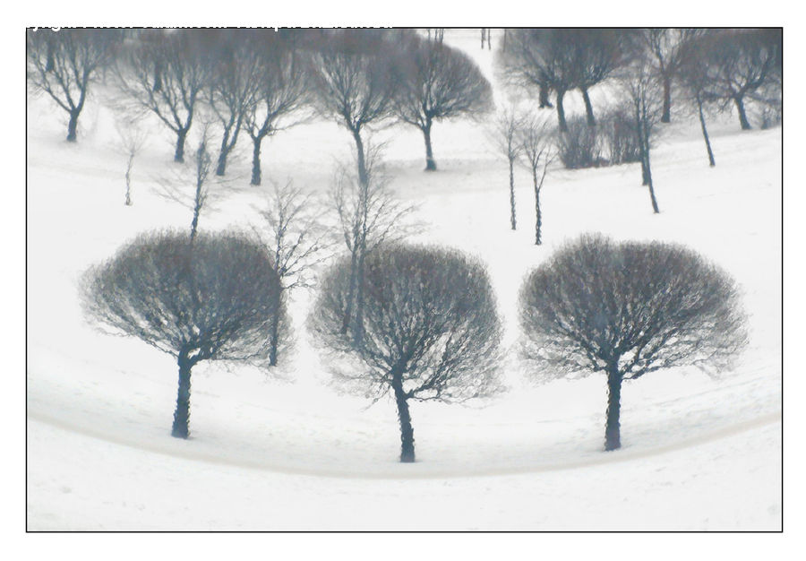 Blizzard, Outdoors, Snow, Weather, Winter