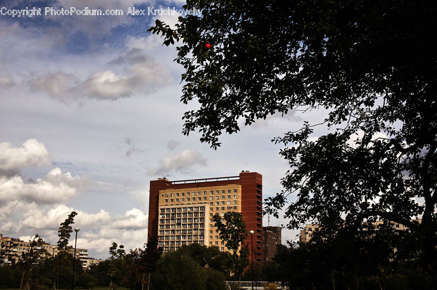 Apartment Building, Building, High Rise, Downtown, Town, Housing, City