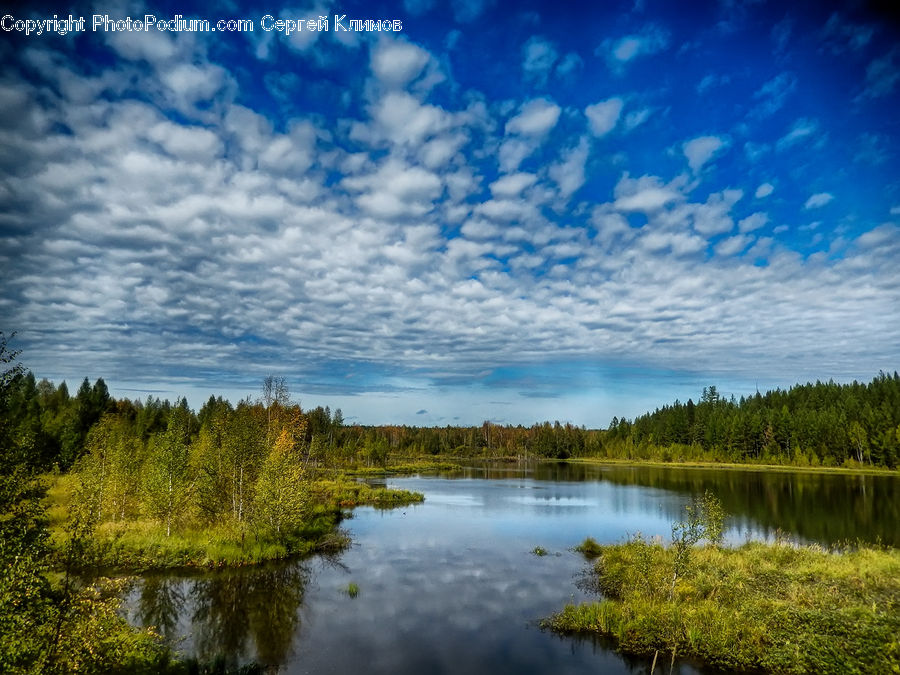 Outdoors, Pond, Water, Land, Marsh, Swamp, River