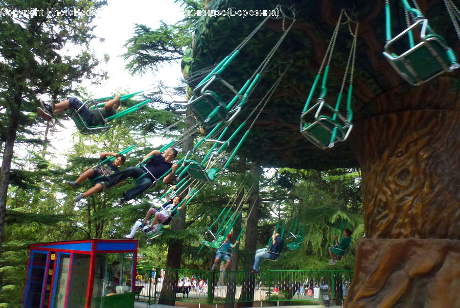 Closet, Kiosk, Playground, Forest, Jungle, Rainforest, Vegetation