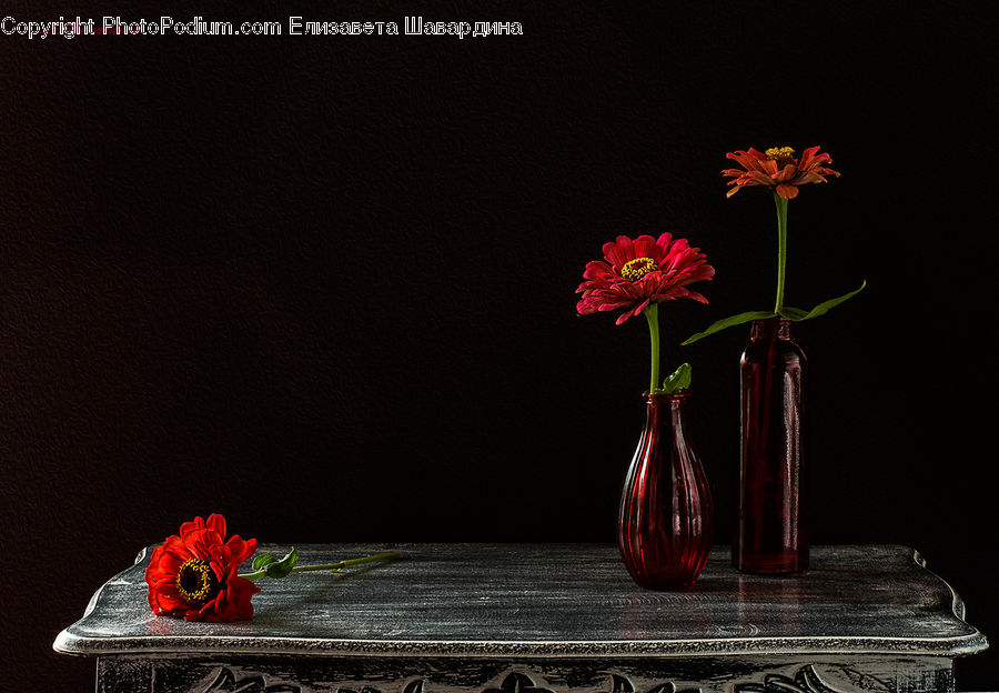 Jar, Porcelain, Vase, Flower Arrangement, Ikebana, Plant, Potted Plant