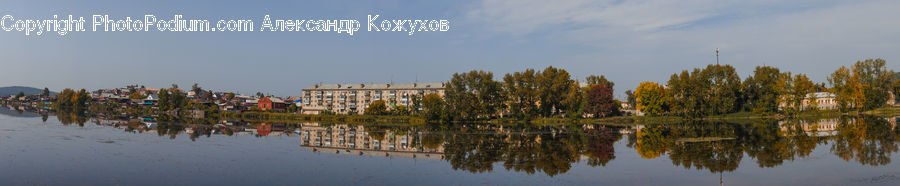 Building, Housing, Conifer, Fir, Plant, Tree, City